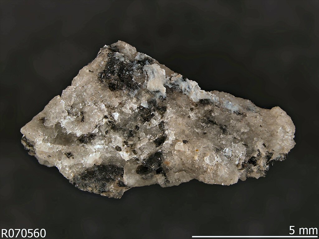 Large Alloriite Image