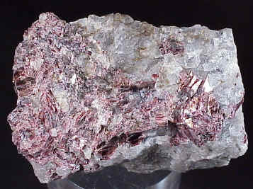 Large Muscovite Image