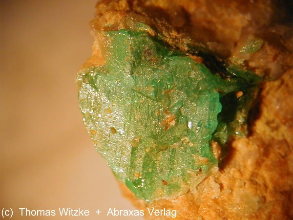 Large Bellingerite Image