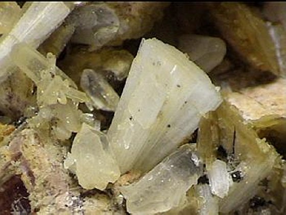 Large Bertrandite Image