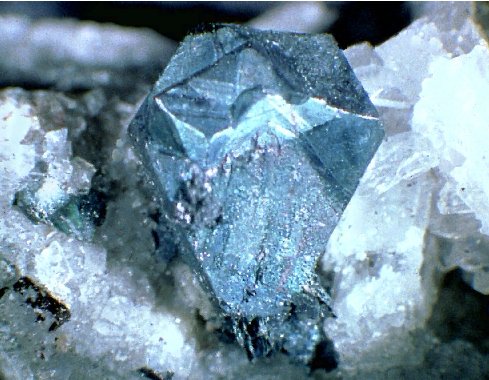 Large Bornite Image