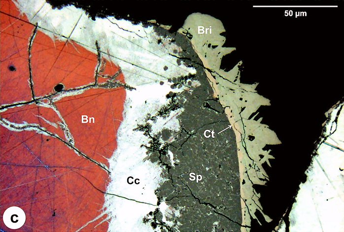 Large Briartite Image