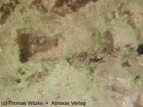 Large Clinoatacamite Image