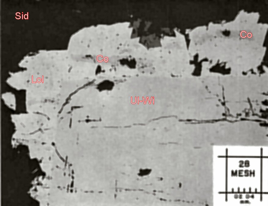 Large Costibite Image