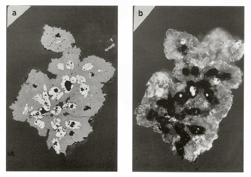 Large Feinglosite Image