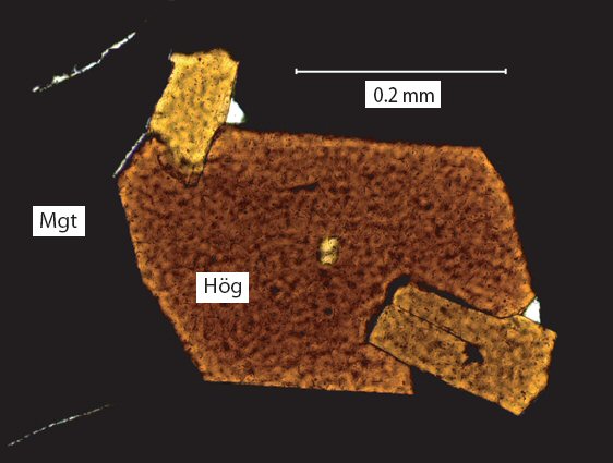 Large Ferrohogbomite-2N2S Image