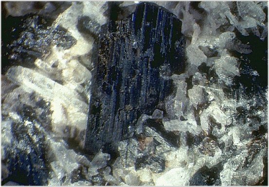 Large Ferrohornblende Image