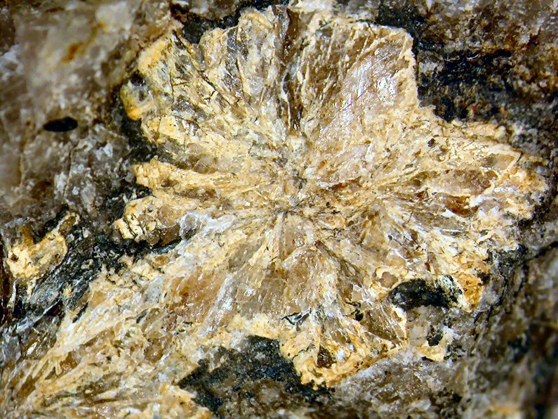 Large Ferronordite-(La) Image