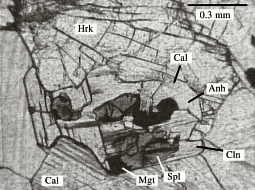 Large Harkerite Image