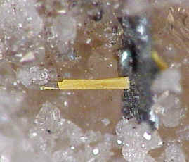 Large Holfertite Image