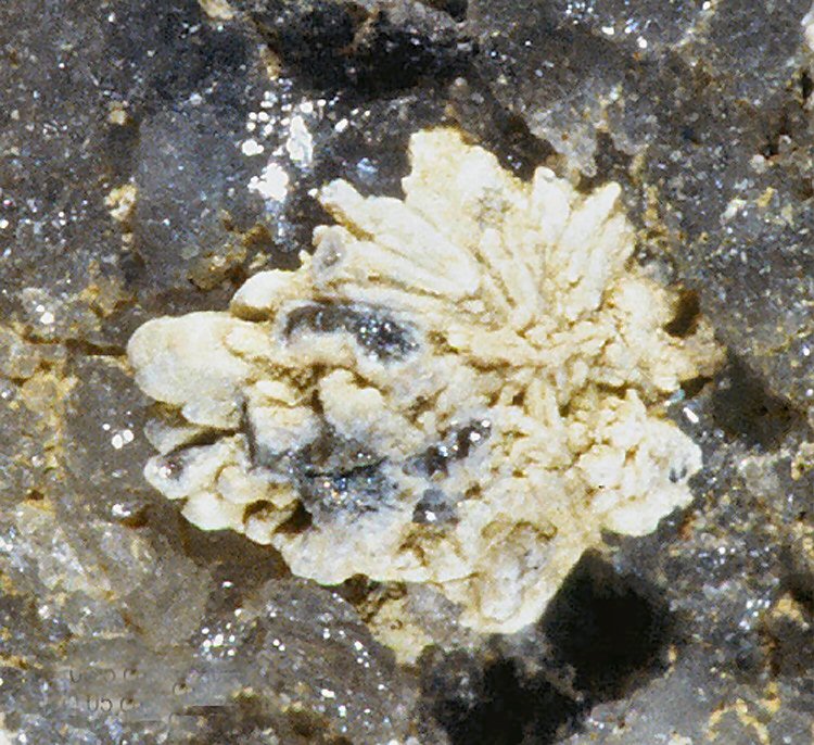 Large Hydroxylpyromorphite Image