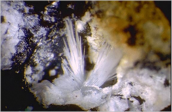 Large Lanarkite Image