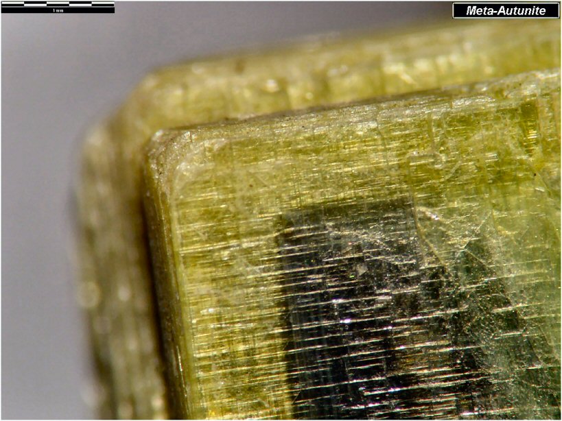 Large Meta-autunite Image