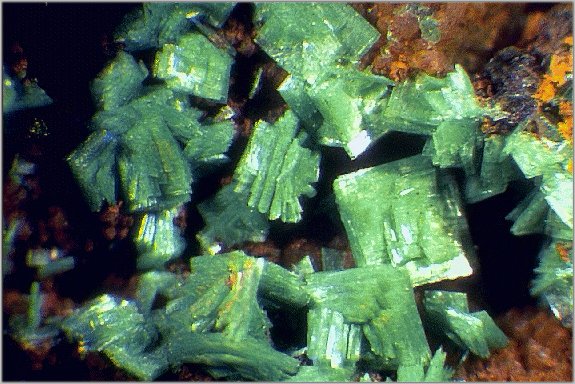 Large Metazeunerite Image