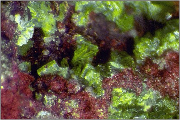 Large Molybdofornacite Image