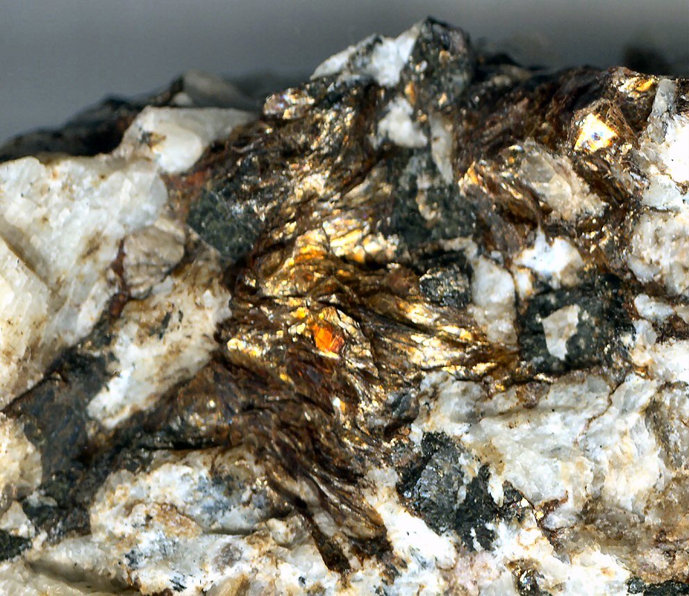 Large Nalivkinite Image