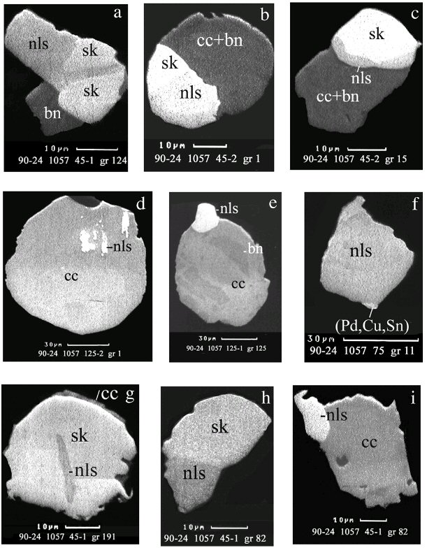 Large Nielsenite Image