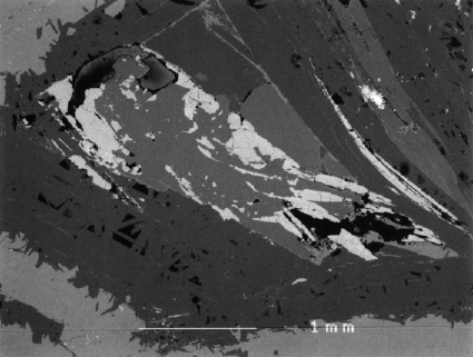 Large Clinozoisite-(Sr) Image