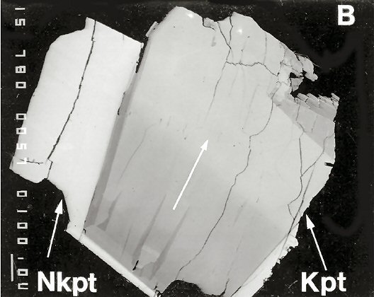 Large Niobokupletskite Image