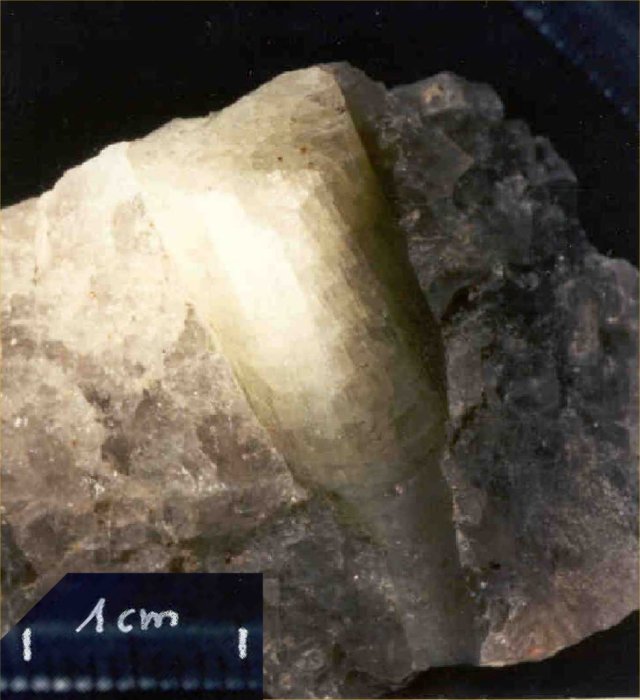 Large Olenite Image