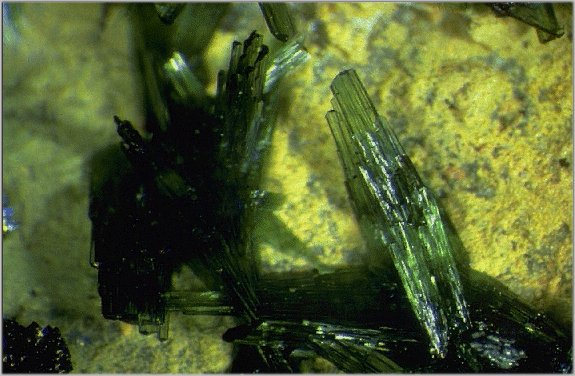 Large Olivenite Image