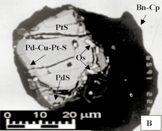 Large Osmium Image