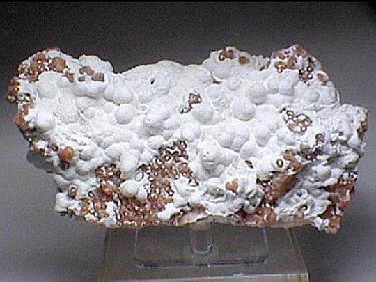 Large Oyelite Image