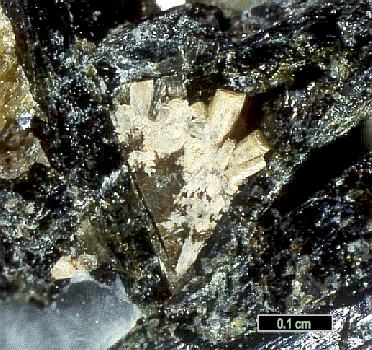 Large Calcioburbankite Image