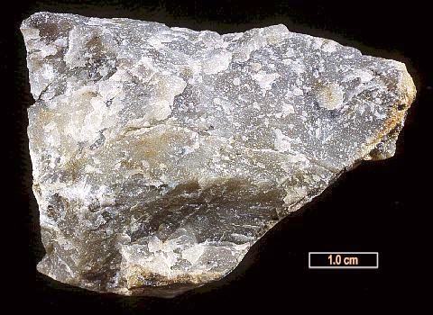 Large Eucryptite Image