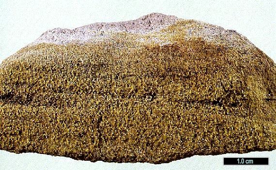 Large Fernandinite Image