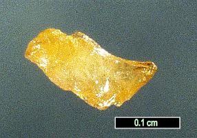 Large Cadwaladerite Image