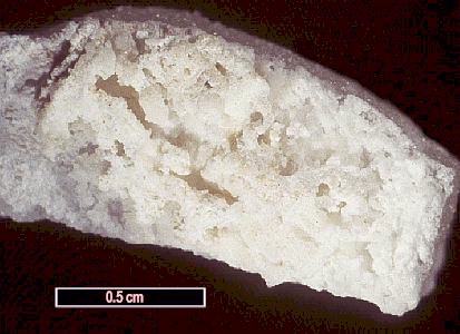 Large Hydrochlorborite Image