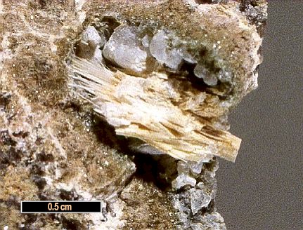 Large Kaliophilite Image