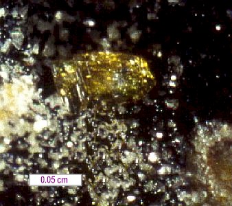 Large Leucophosphite Image