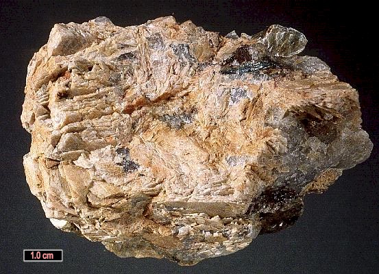 Large Natromontebrasite Image