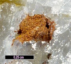 Large Mawbyite Image