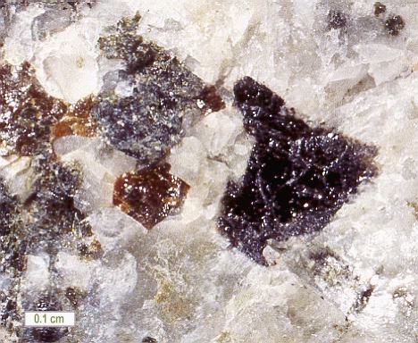 Large Perrierite-(Ce) Image