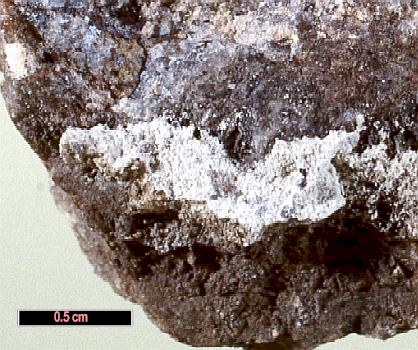 Large Corrensite Image