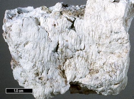 Large Sepiolite Image