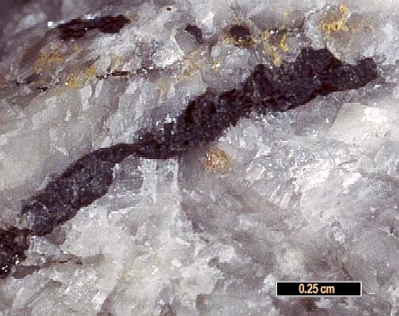 Large Warwickite Image