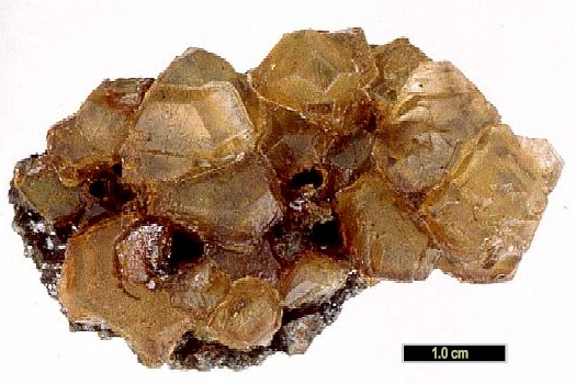 Large Sylvite Image