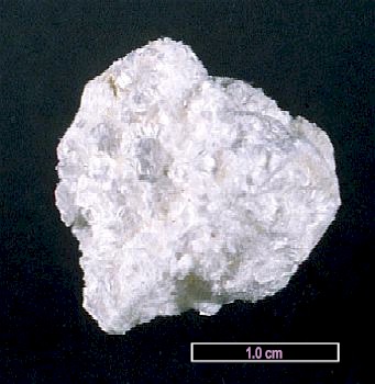 Large Tainiolite Image