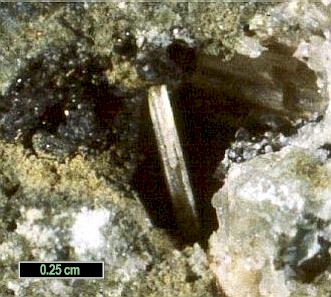 Large Tuscanite Image