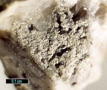 Large Vinogradovite Image