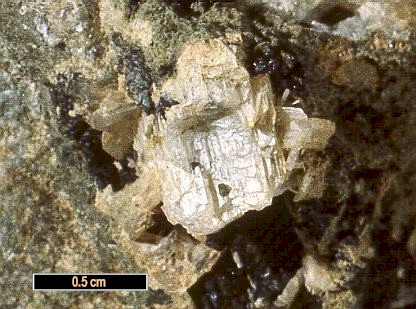 Large Sacrofanite Image