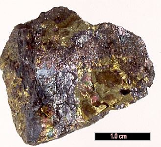 Large Renierite Image