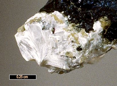 Large Schaurteite Image