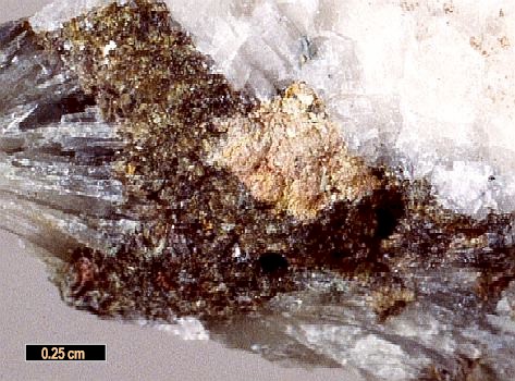 Large Strontiowhitlockite Image