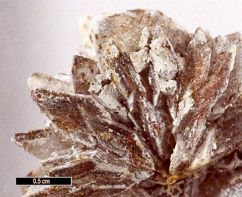 Large Hydroglauberite Image