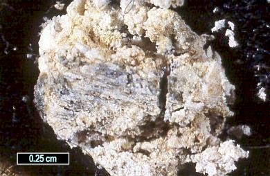 Large Butschliite Image